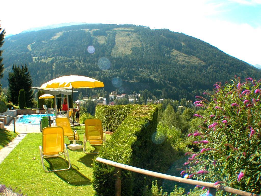 Hotel Alpenblick 3*